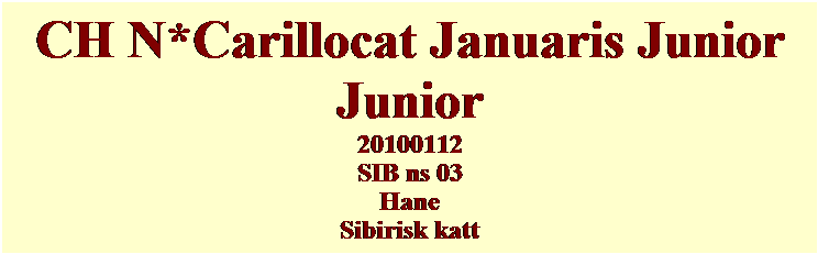 Textruta: CH N*Carillocat Januaris Junior 
Junior
20100112
SIB ns 03
Hane
Sibirisk katt
&nbsp;
