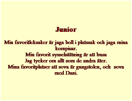 Textruta: Junior
Min favoritleksaker �r jaga boll i platssak och jaga mina kompisar.
Min favorit syssels�ttning �r att busa
Jag tycker om allt som de andra �ter.
Mina favoritplatser att sova �r gungstolen, och&nbsp; sova med Dani.
