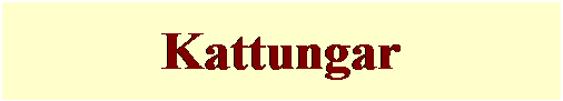 Textruta: Kattungar
