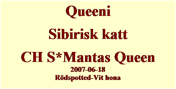 Textruta: Queeni
Sibirisk katt
CH S*Mantas Queen
2007-06-18
R�dspotted-Vit hona
&nbsp;
