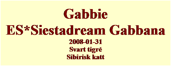 Textruta: Gabbie
ES*Siestadream Gabbana
2008-01-31
Svart tigr�
Sibirisk katt
