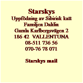 Textruta: Starskys
Uppf�dning av Sibirisk katt
Familjen Dahlin
Gamla Karlbergsv�gen 2
186 42&nbsp; VALLENTUNA
08-511 736 56
070-76 78 071
Starskys mail
&nbsp;
