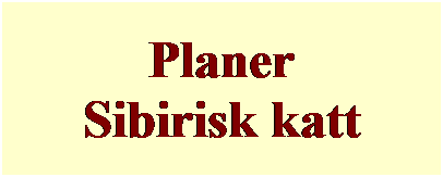 Textruta: Planer
Sibirisk katt