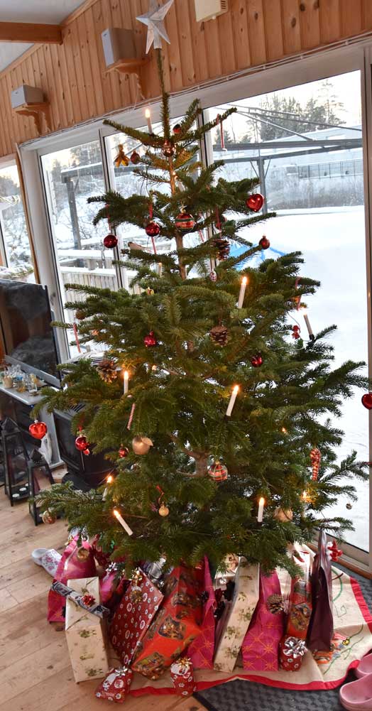 Julgran