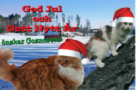 Julkort