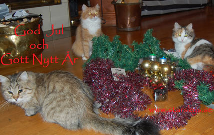 god jul