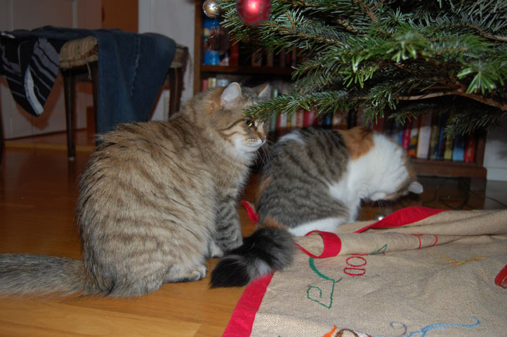 Jul