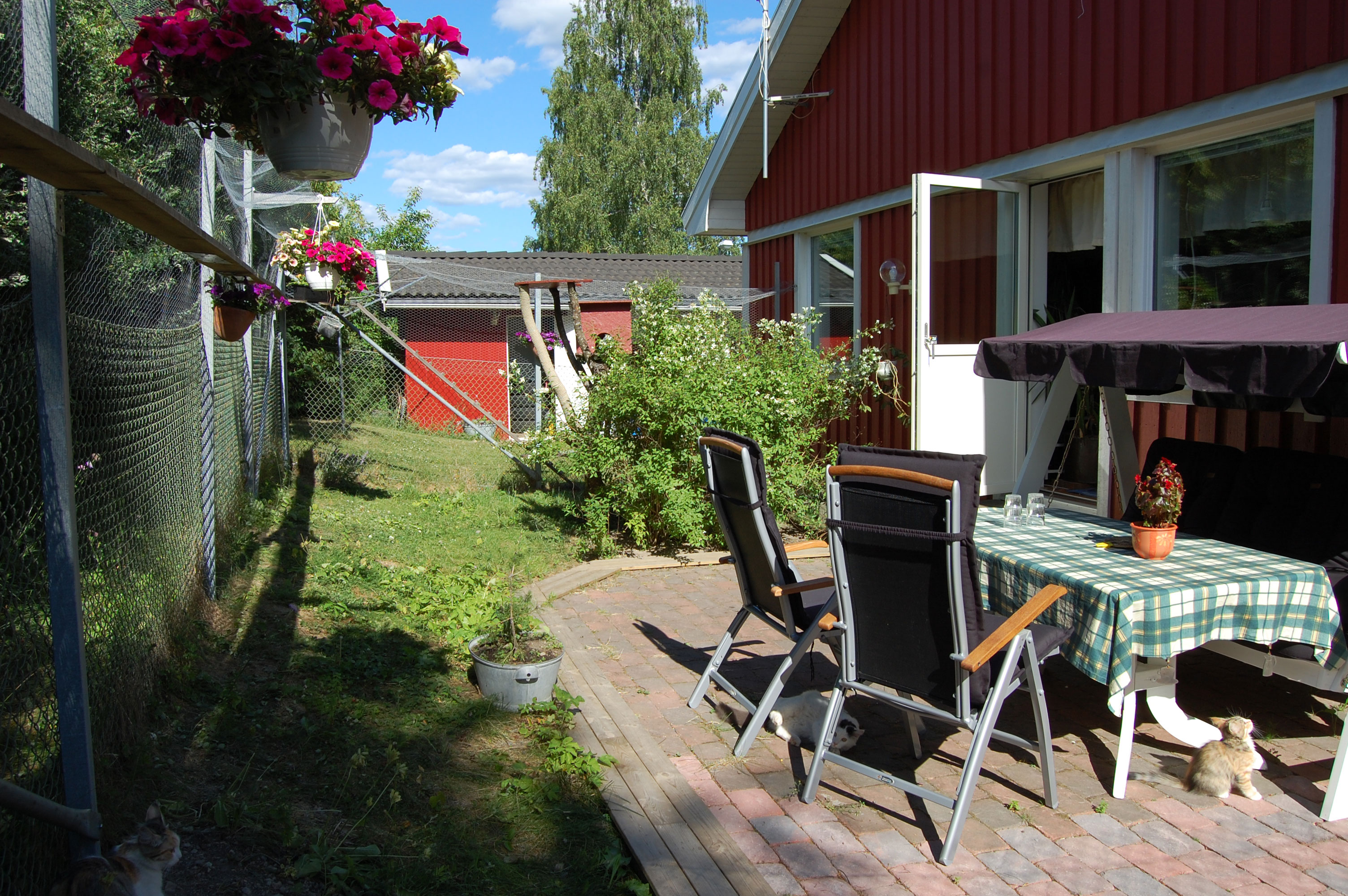 Kattgården