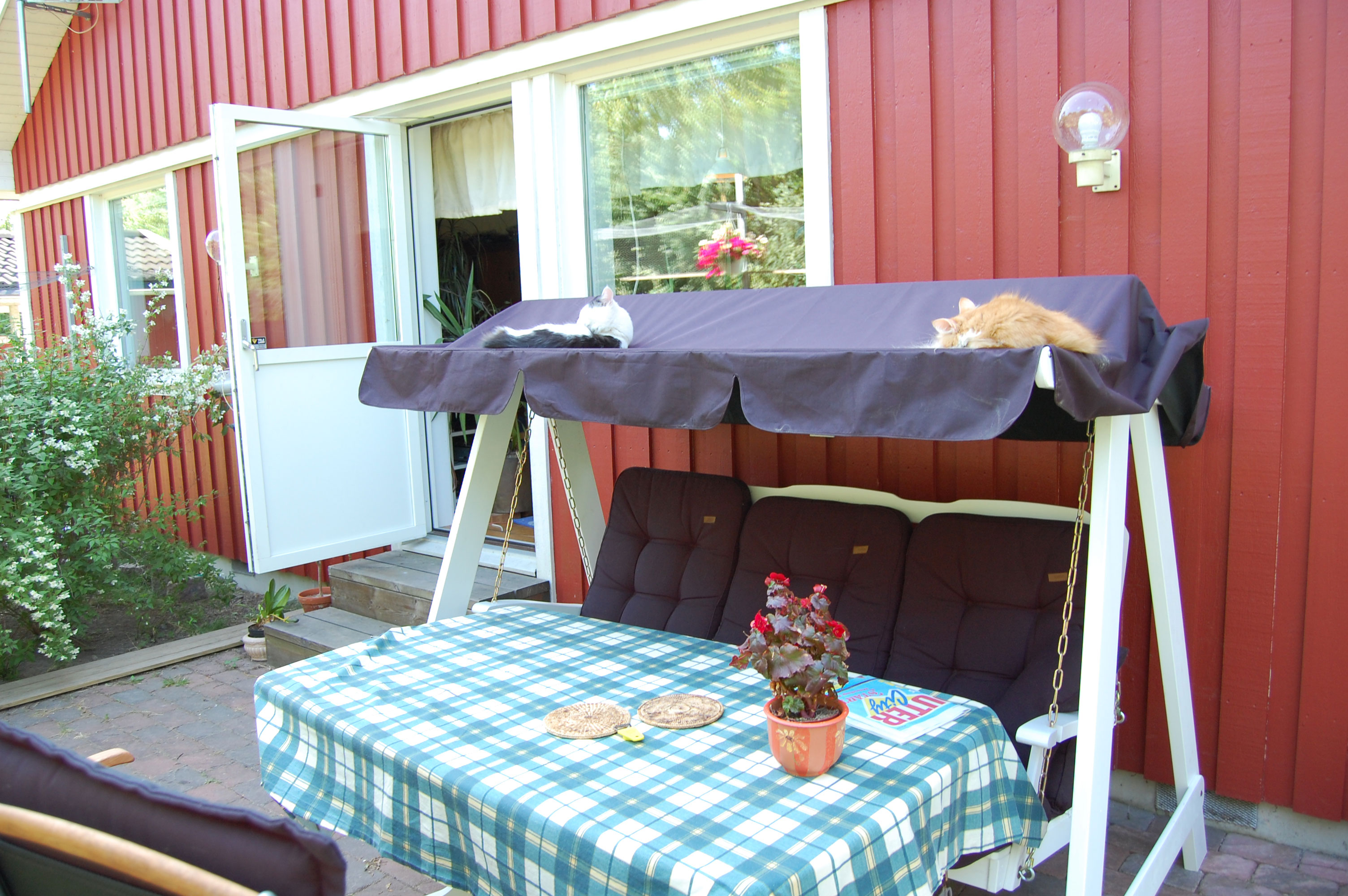 Kattgården