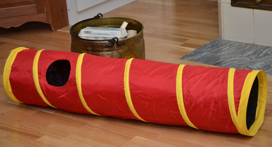 katt tunnel