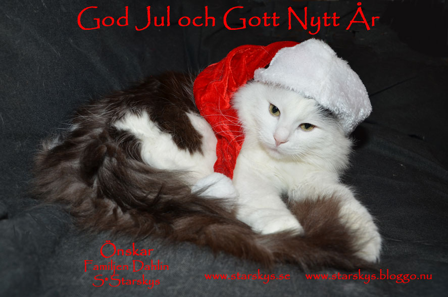 God Jul