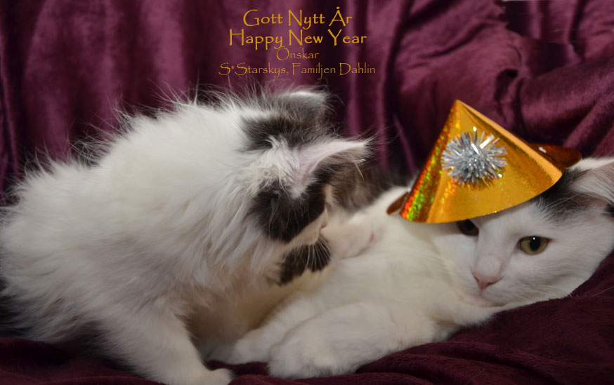 Gott Nytt År