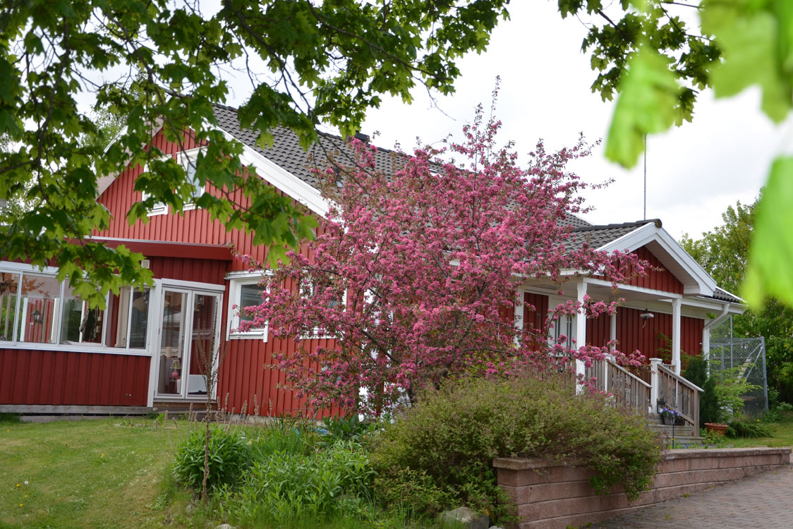 Starskys hus