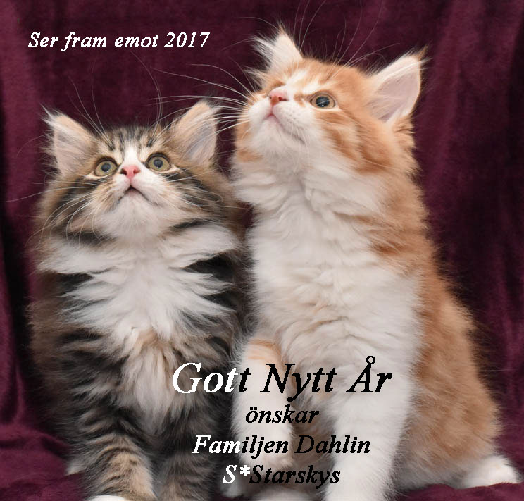 Starskys Gott Nytt År