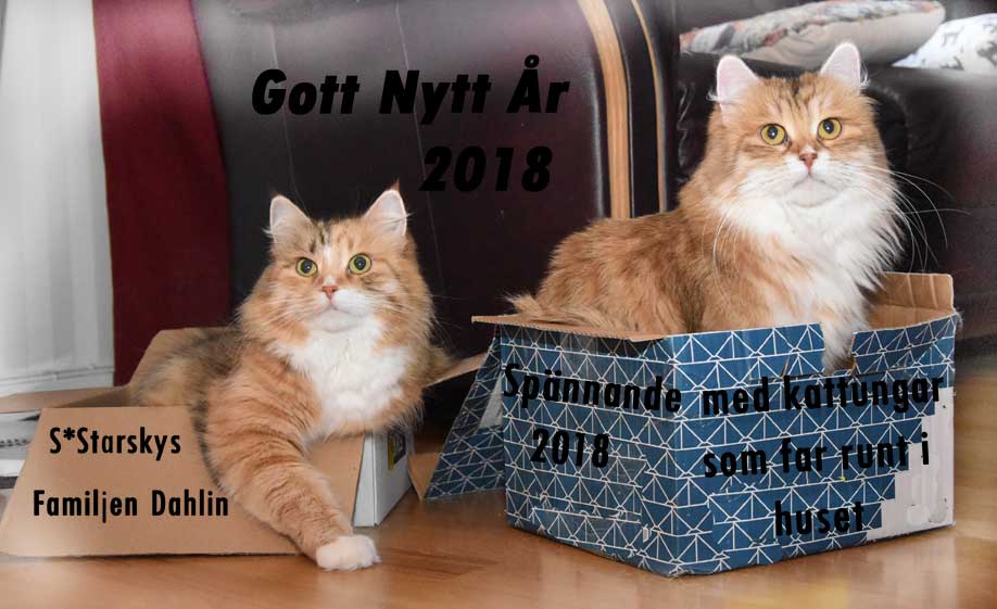 Starskys Gott Nytt År