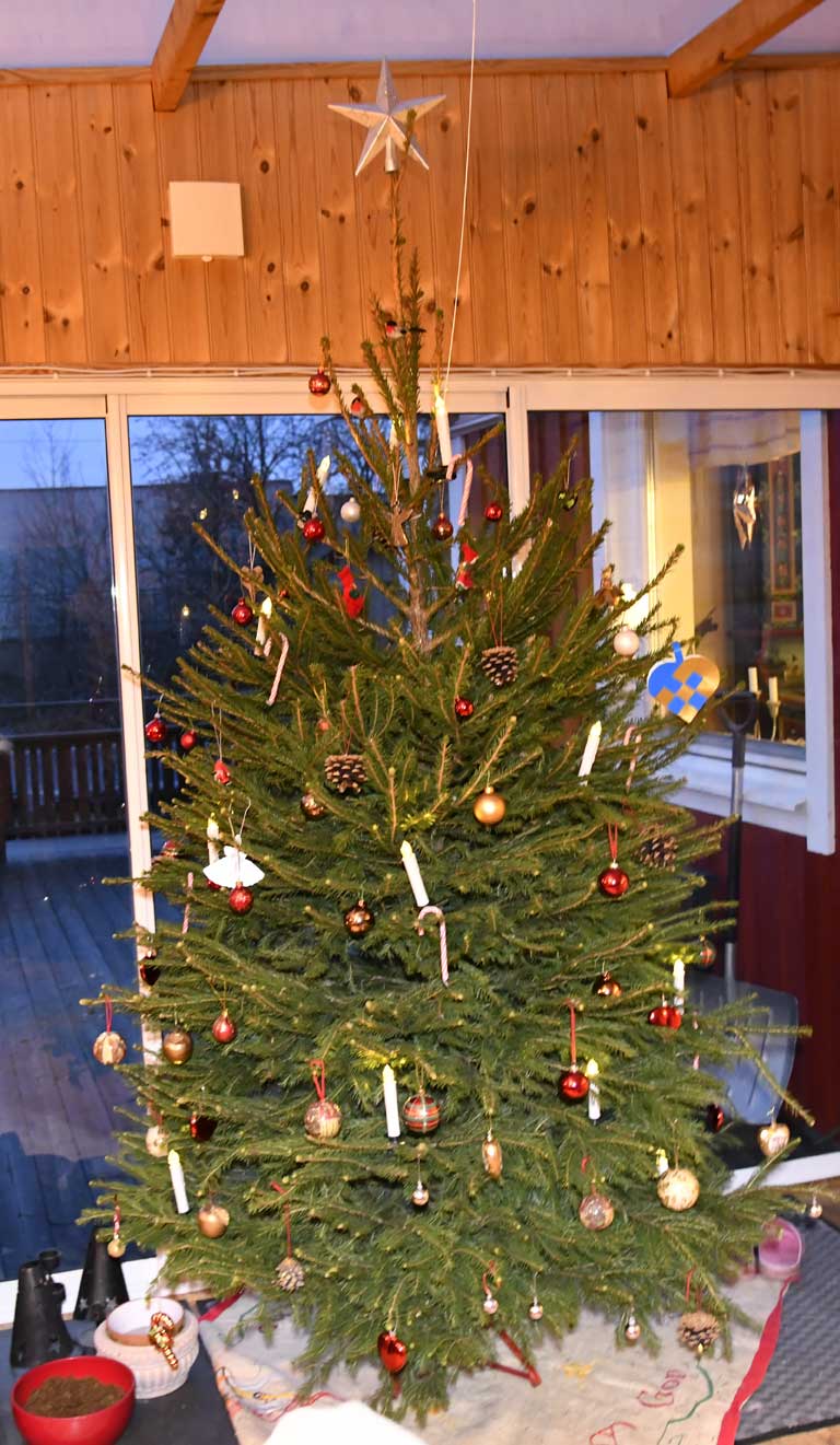 Julgran
