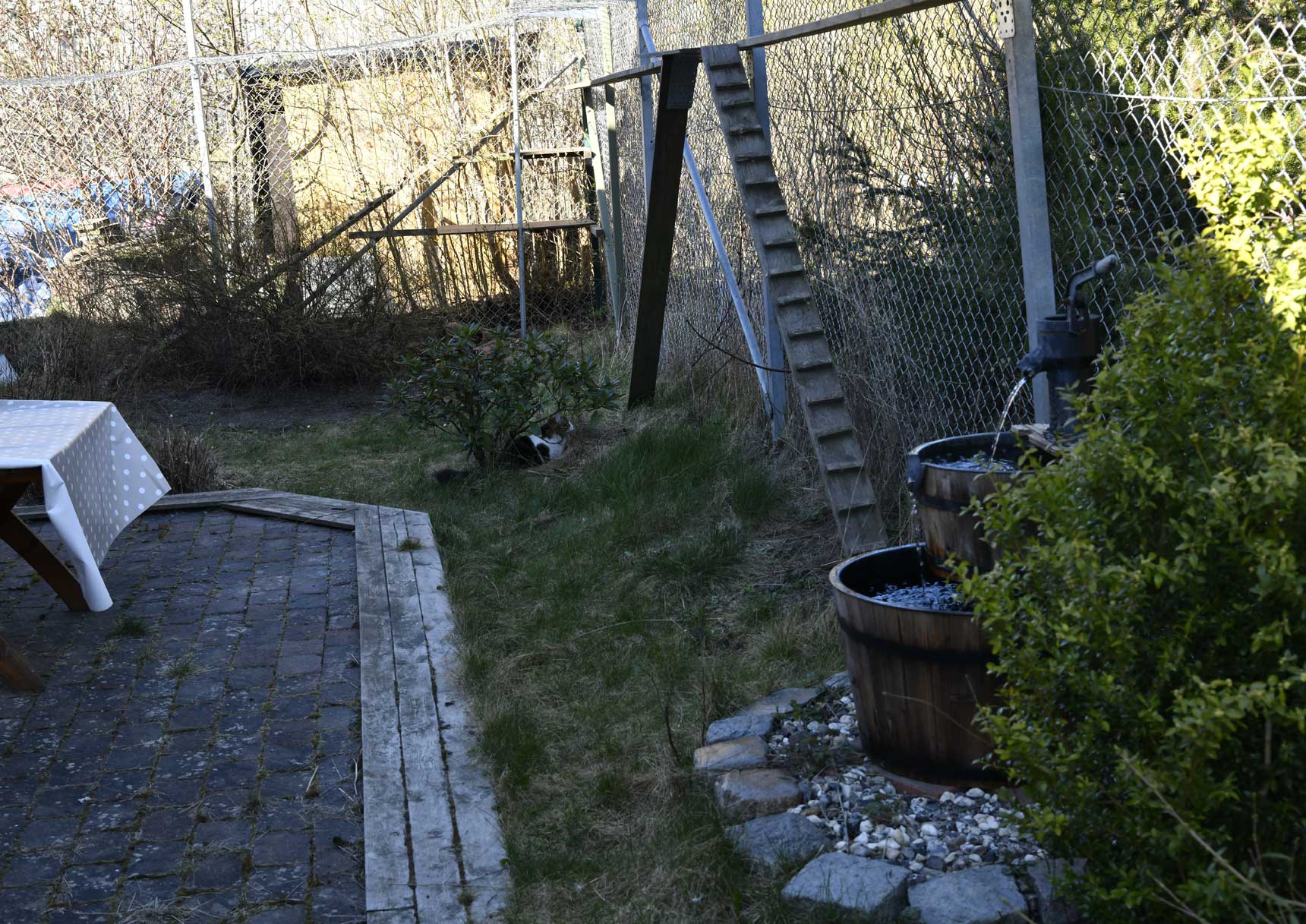 Starskys kattgård