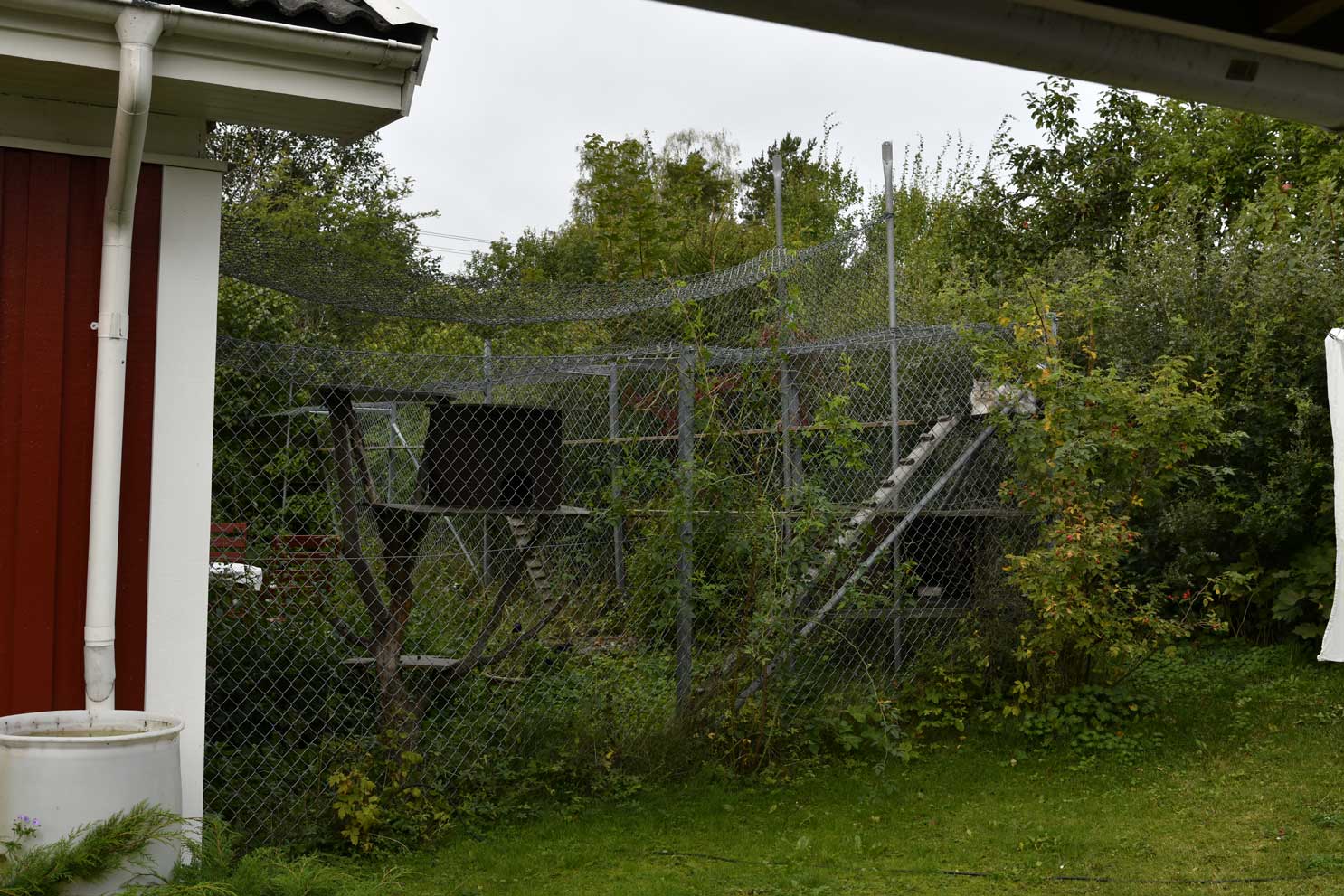 Starskys Kattgård