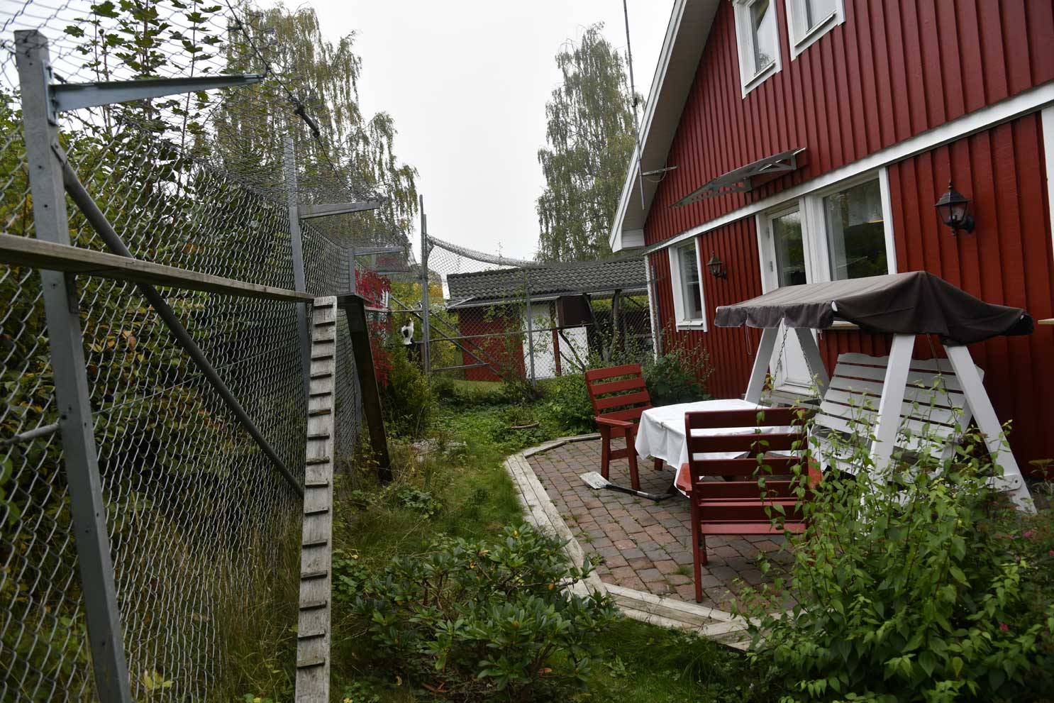 Kattgården