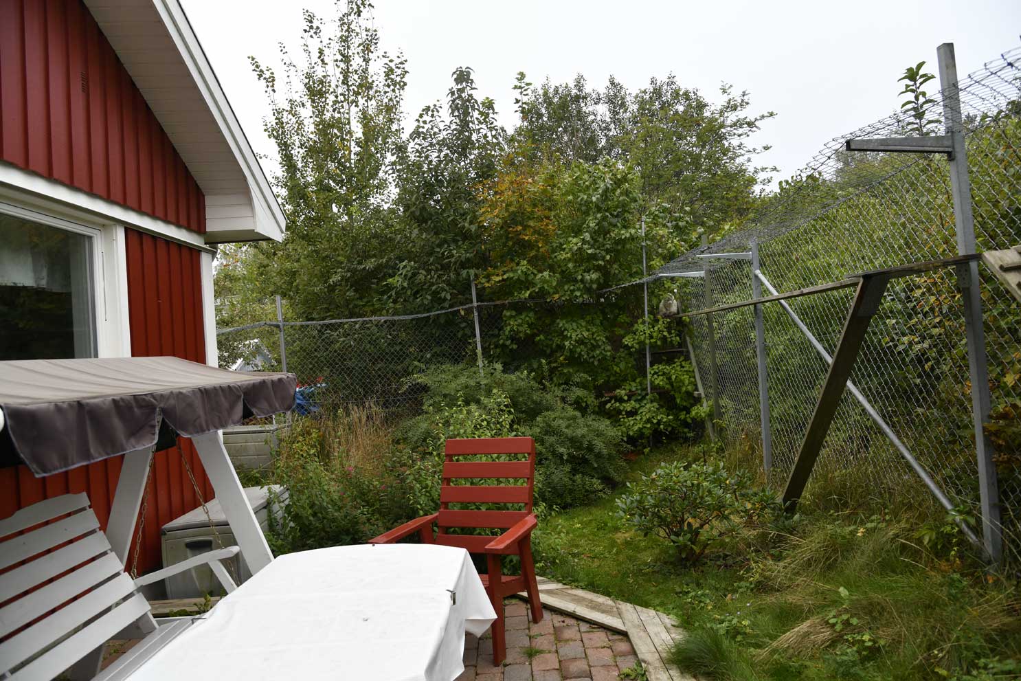kattgården
