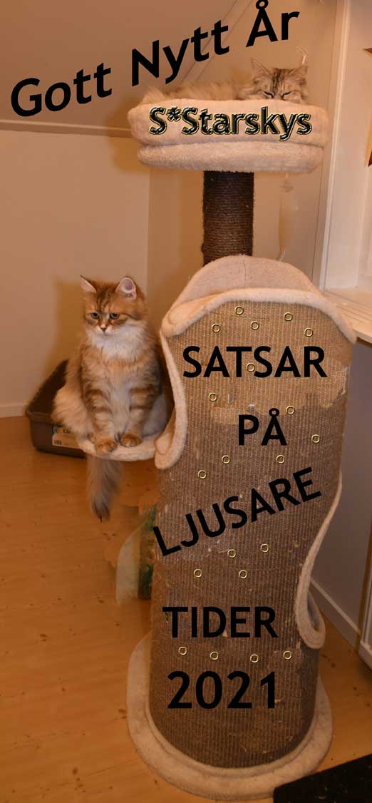 Starskys Nyår