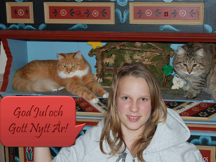 God Jul