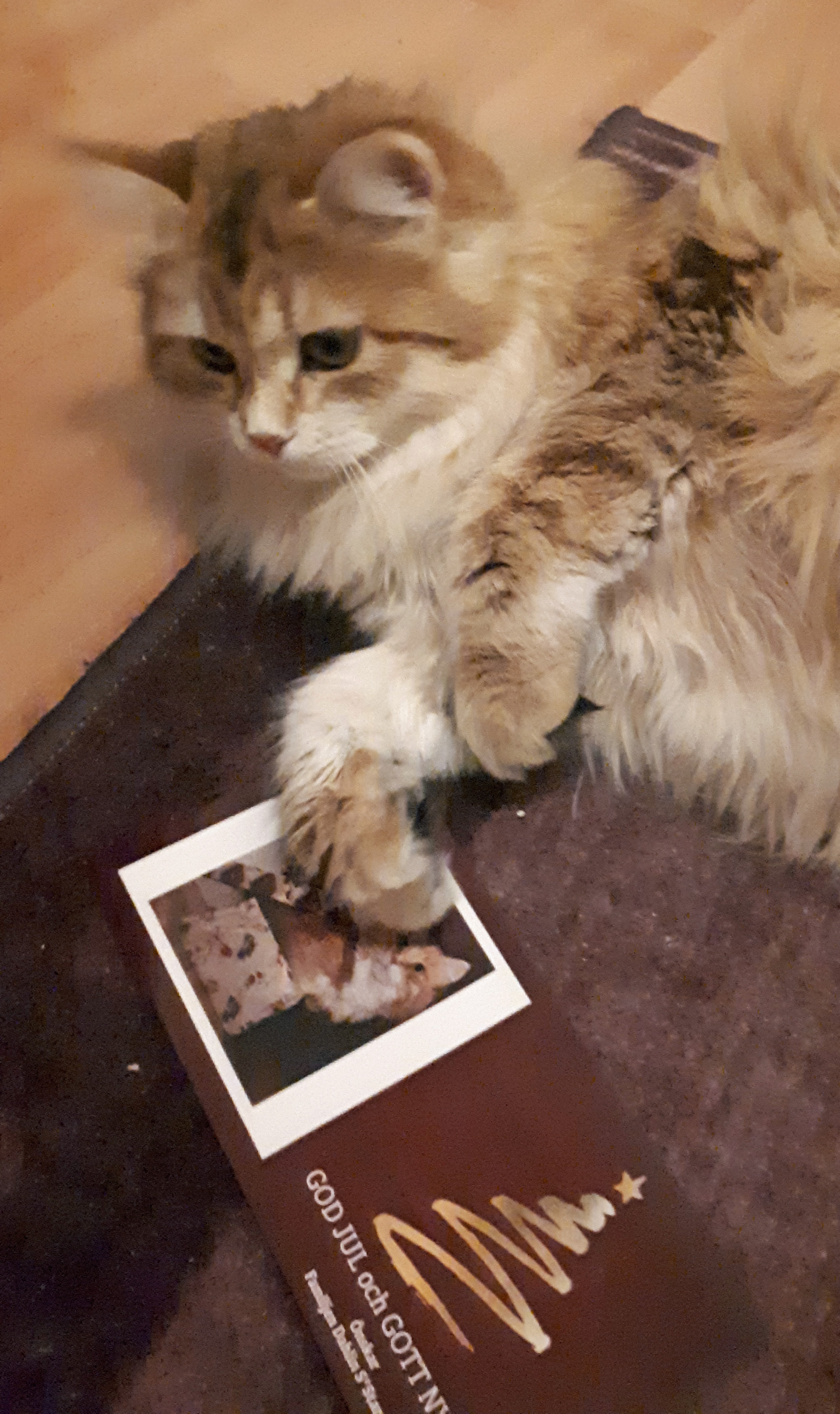 Julhälsning Marilyn