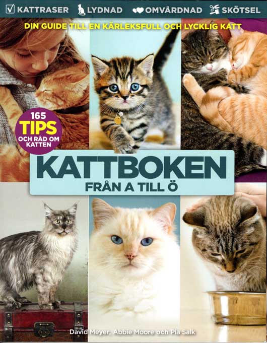 Kattbok