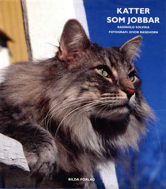 Kattbok