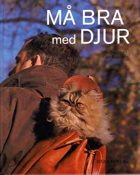 Kattbok