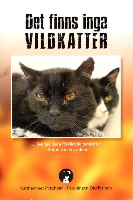 Kattbok