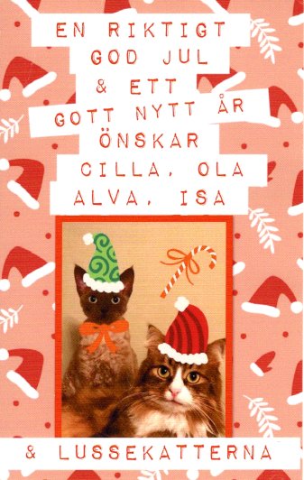 Julkort