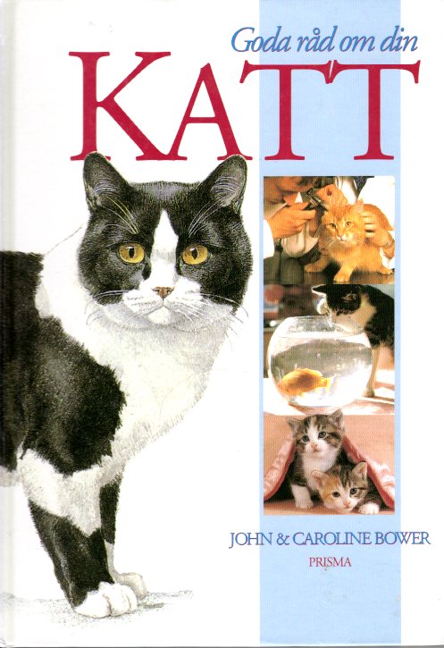 Kattbok