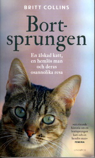 Kattbok