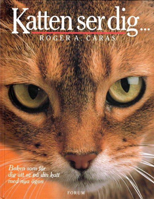 Kattbok