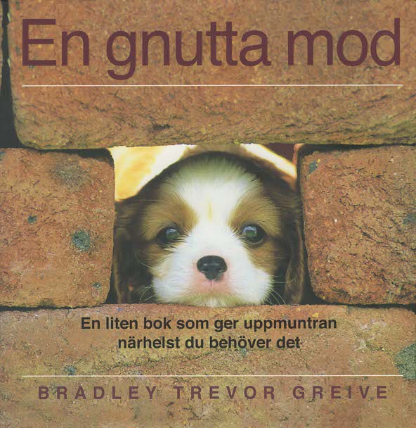 kattbok