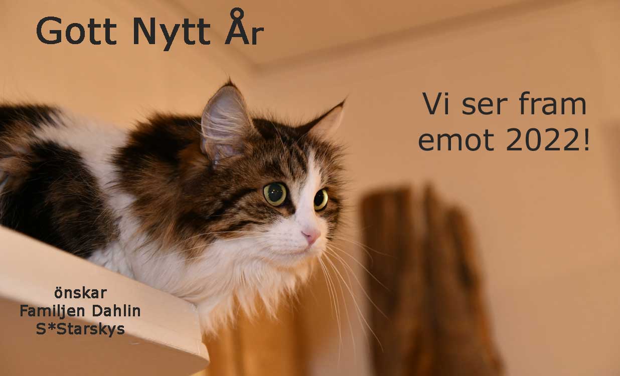 Starskys Gott Nytt År