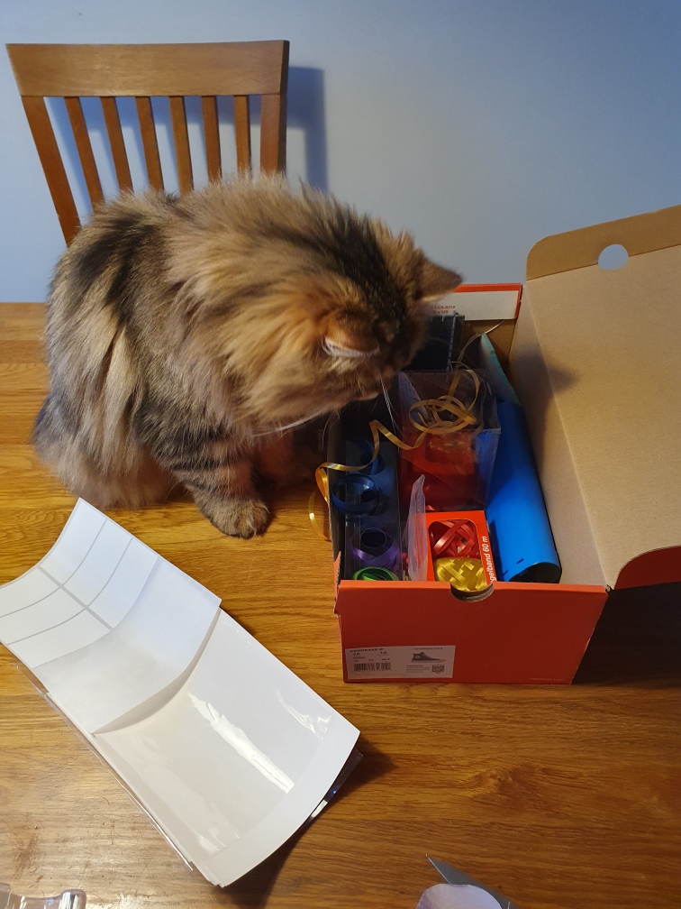 Sibirisk katt Yangel