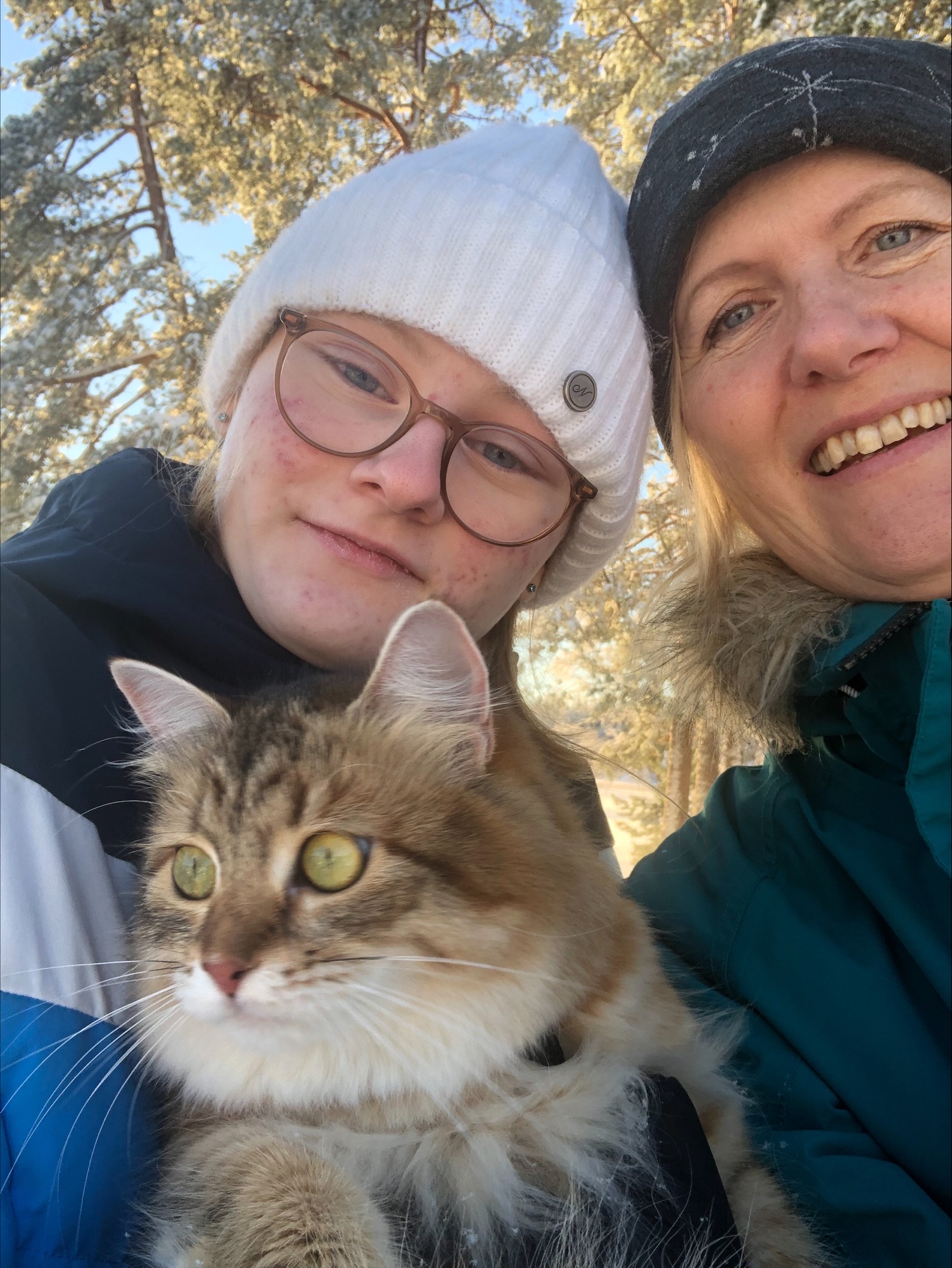 Sibirisk katt Fujita