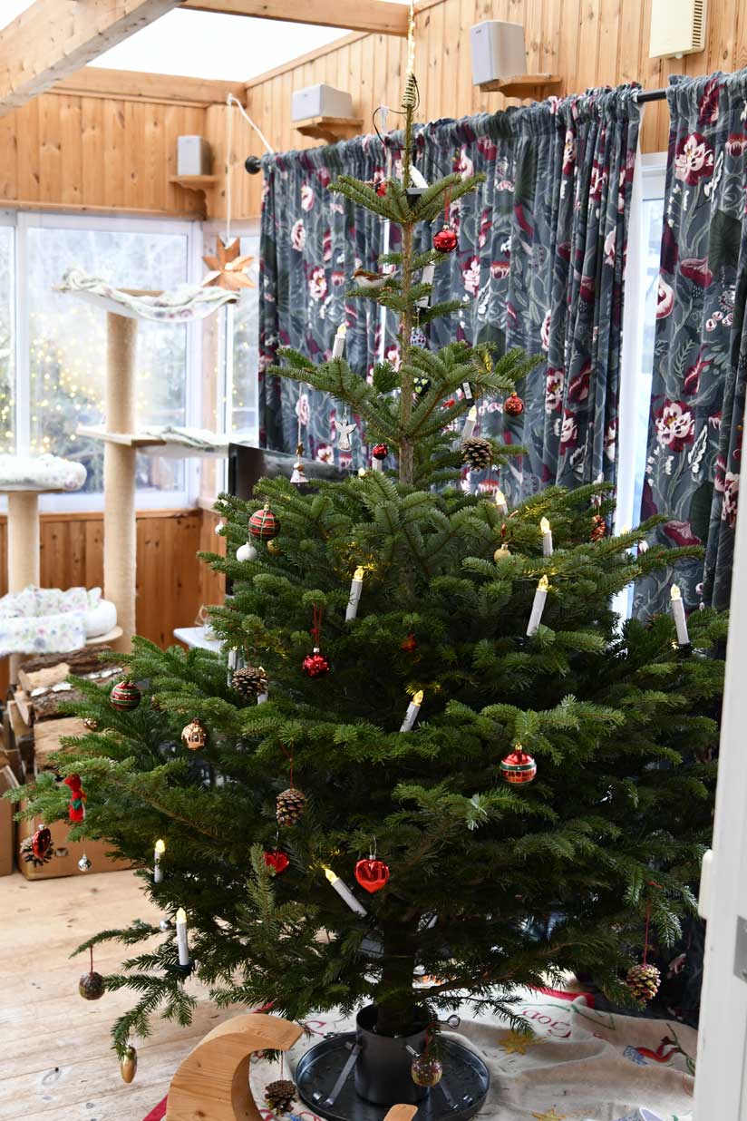 Jul