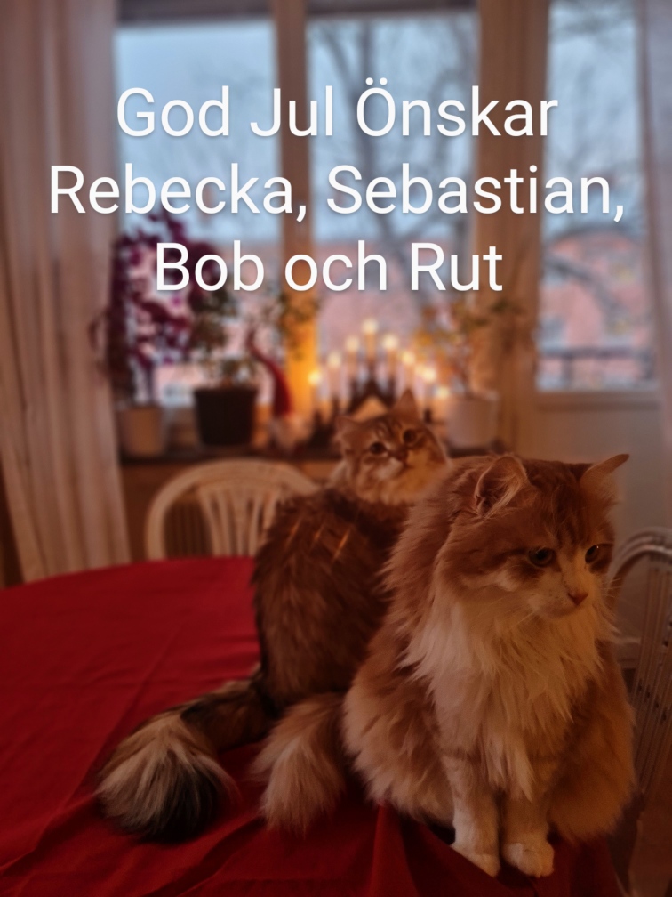 Julkort Ukko Florentina