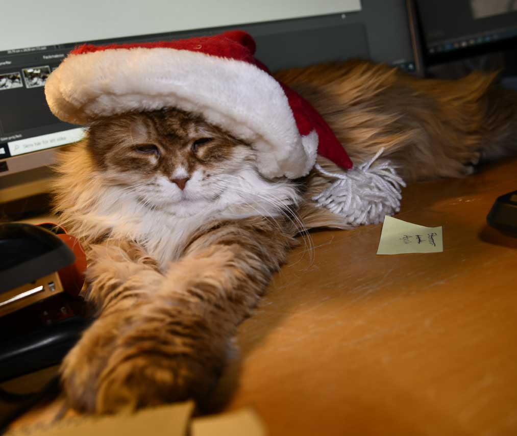 Uni Tomte