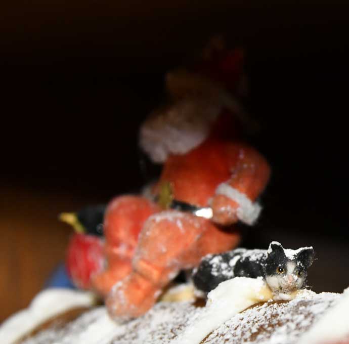 pepparkakshustets katt