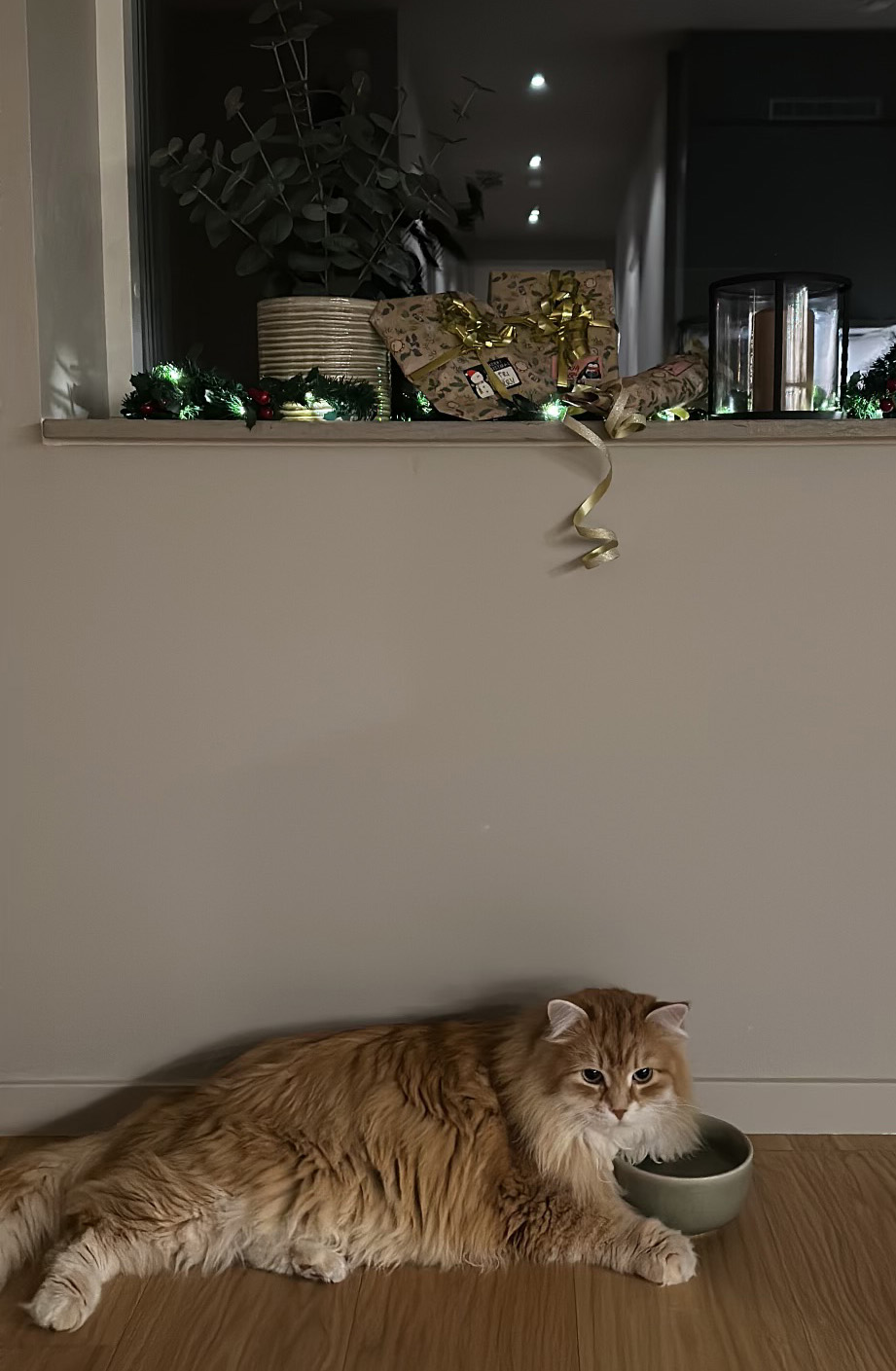 Julkort Mir