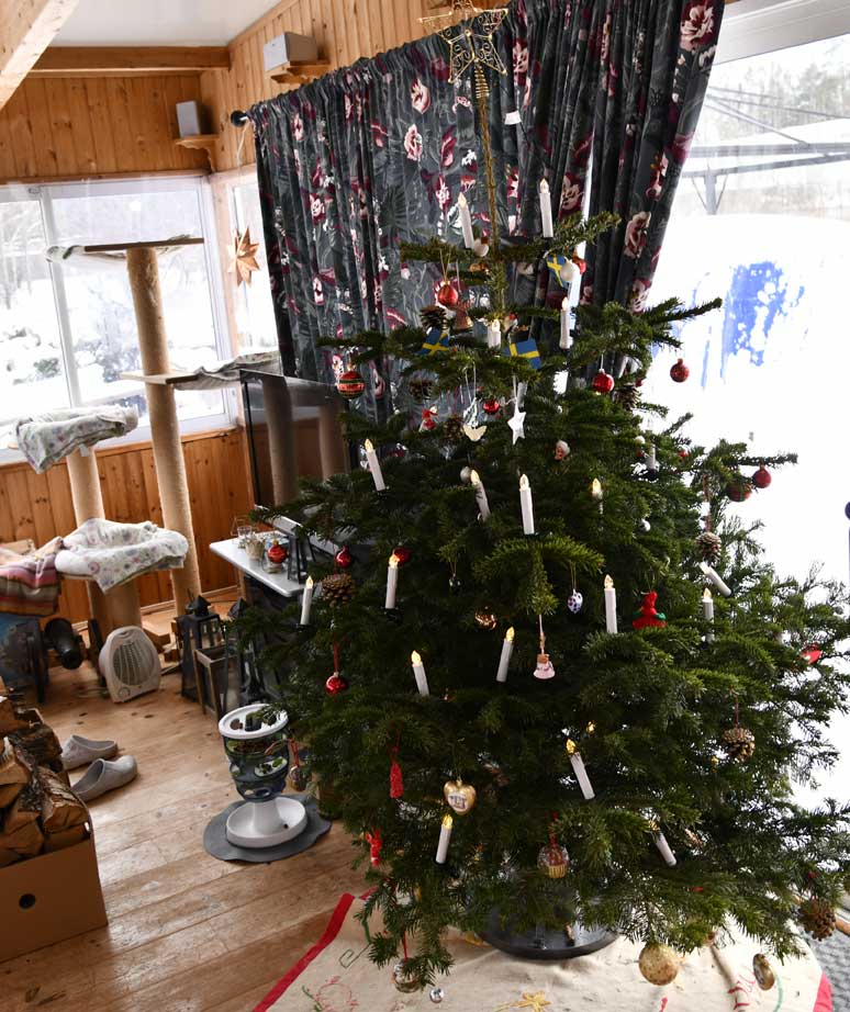 Jul