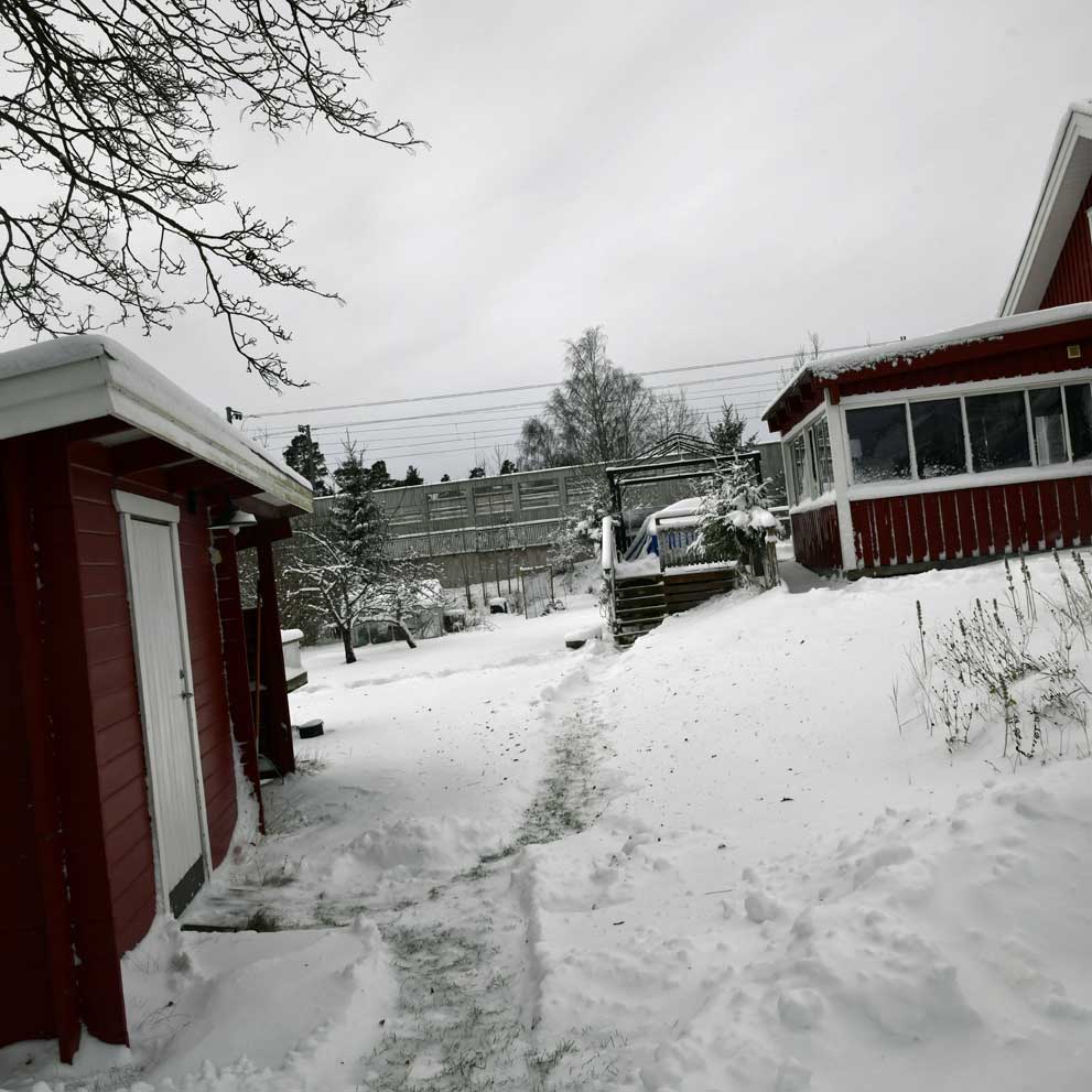 Starskys Vinter
