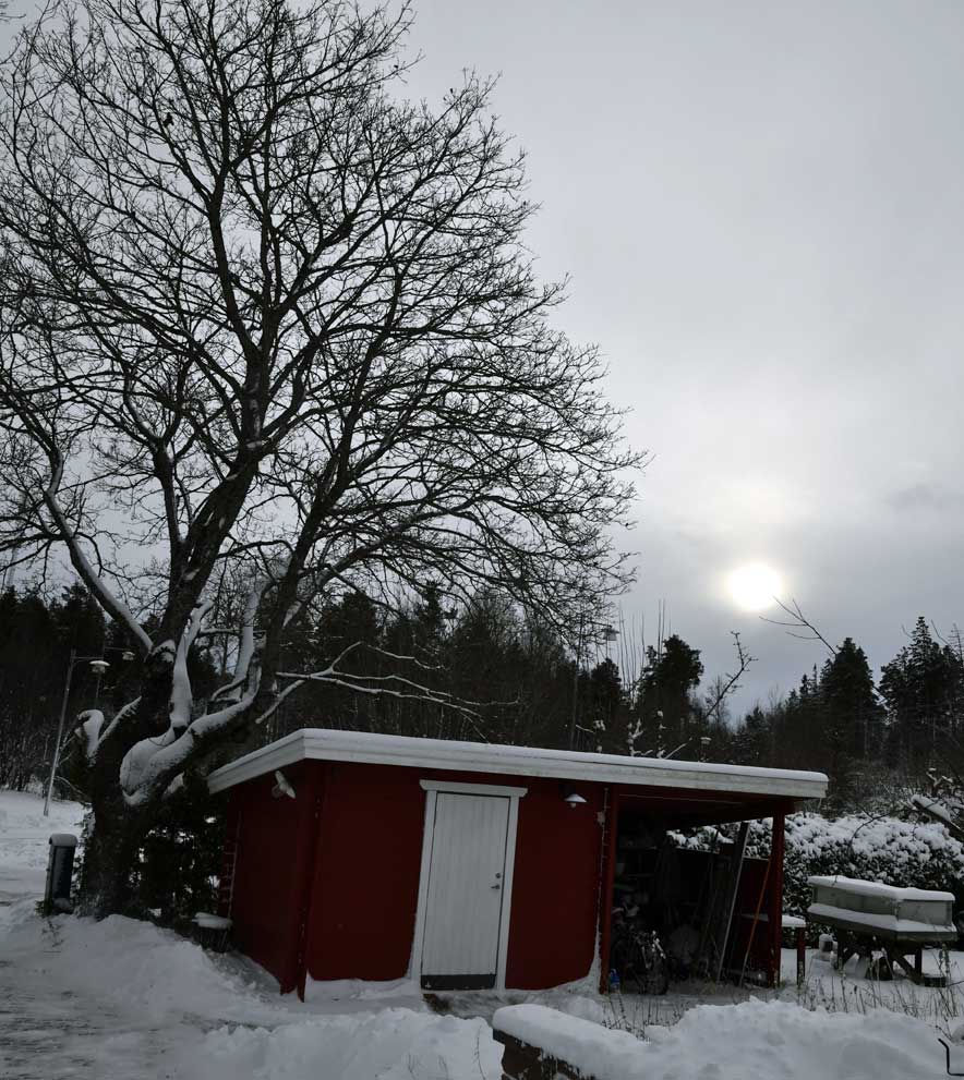 Starskys Vinter