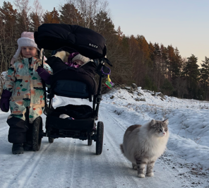 God Jul hermann