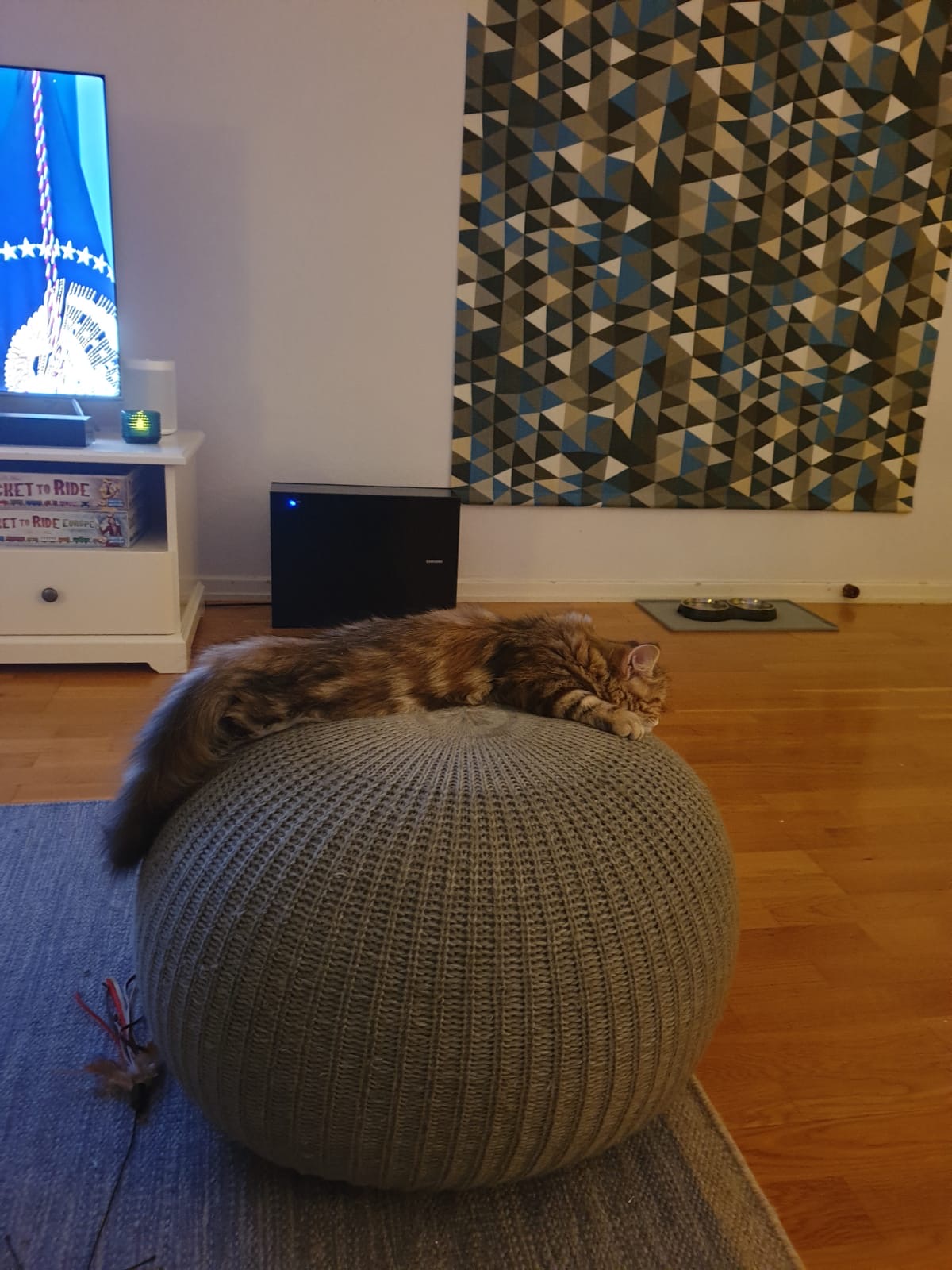 sibirisk kattunge Yanai