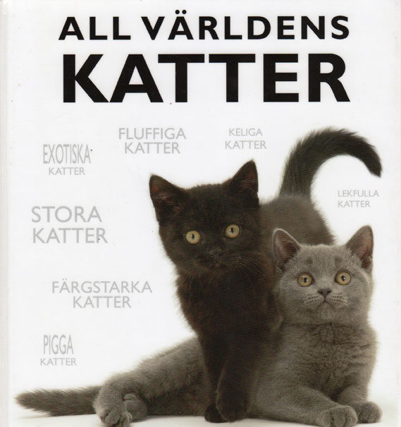 Kattbok